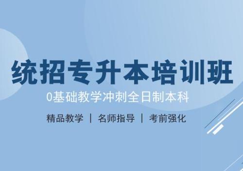 福州美术专升本定制seo优化方案选了富海系统