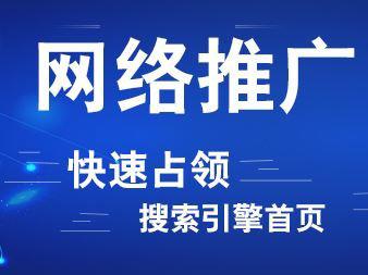 如何才能快速的把公司在网络上推广出去