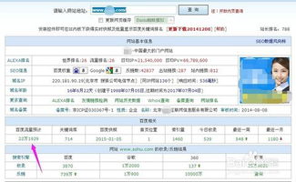 如何查看一个网站的流量
